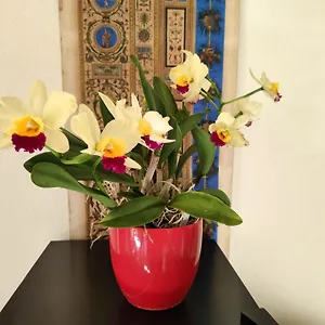 Bed & Breakfast La Casa Nel Borgo Italia